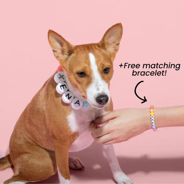 Personalized Beaded Dog Collar – Comes with a Free Matching Bracelet
